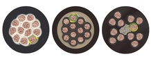 Comparison of Wampfler Cables